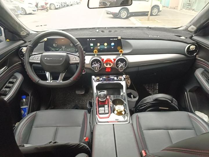 Forthing T5 EVO 2021 1.5TD DCT photo 5