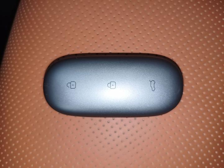 Li L9 2023 Pro photo 8