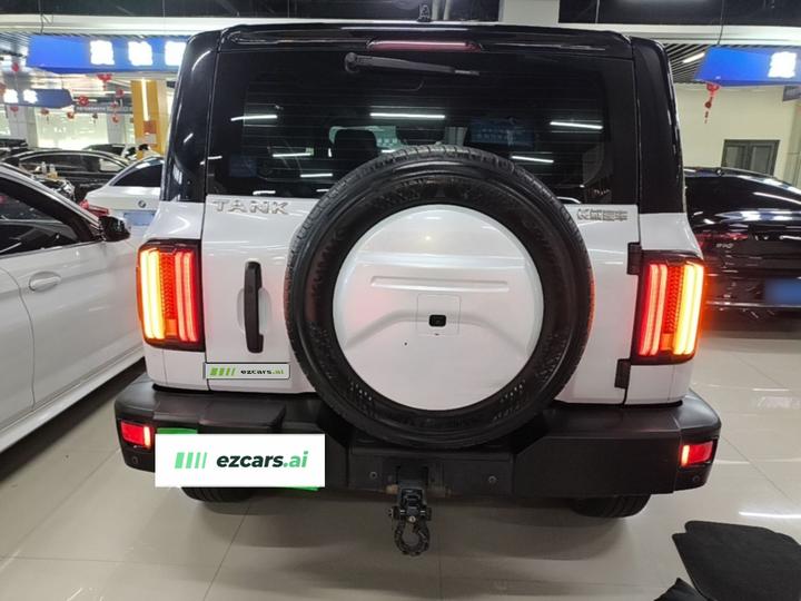300 2023 Off-road 2.0T Conqueror photo 5
