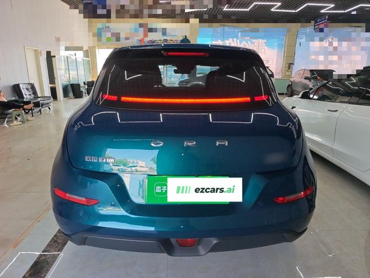 Good Cat 2023 401km Standard Range LFP photo 3