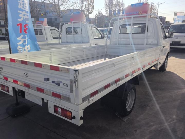 Ruichi C5 2025 EV Single Cab photo 4