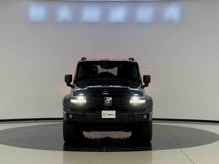 300 2025 2.0T Petrol Conqueror photo 2