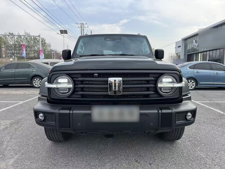 300 2024 2.0T Conqueror photo 2