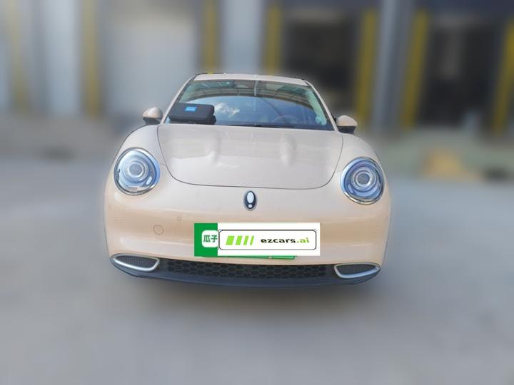 Good Cat 2021 400km Standard Range LFP photo 2