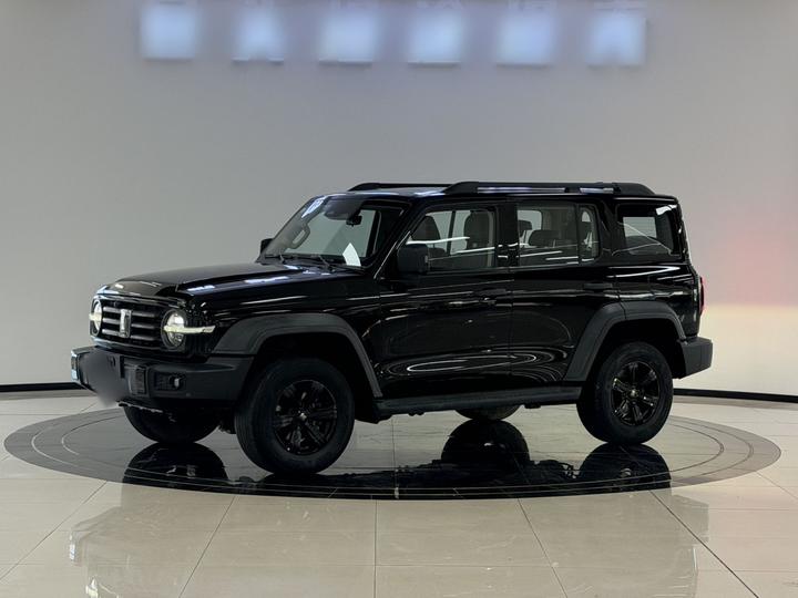 300 2021 Off-road 2.0T Conqueror
