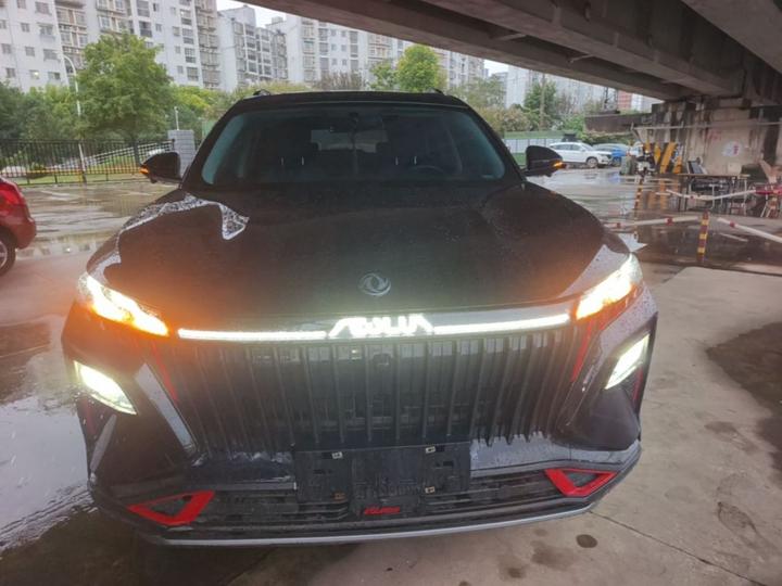 2024 Power 1.5T Luxury photo 2