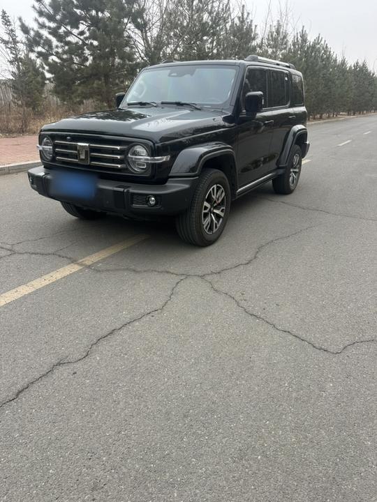 300 2024 2.0T