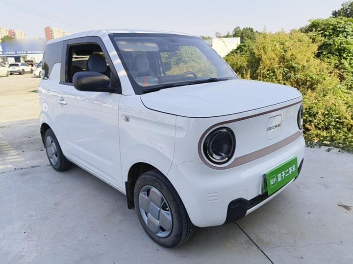 2023 Panda mini 200km Endurance Bear photo 3