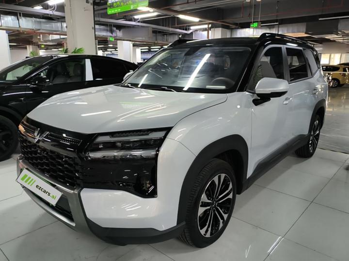 560 EV 2026 125km Luxury