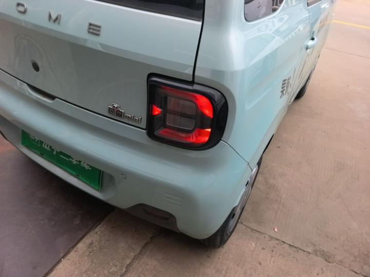2023 Panda mini 200km Endurance Bear photo 7