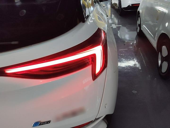 6 2020 PHEV Fashion photo 7