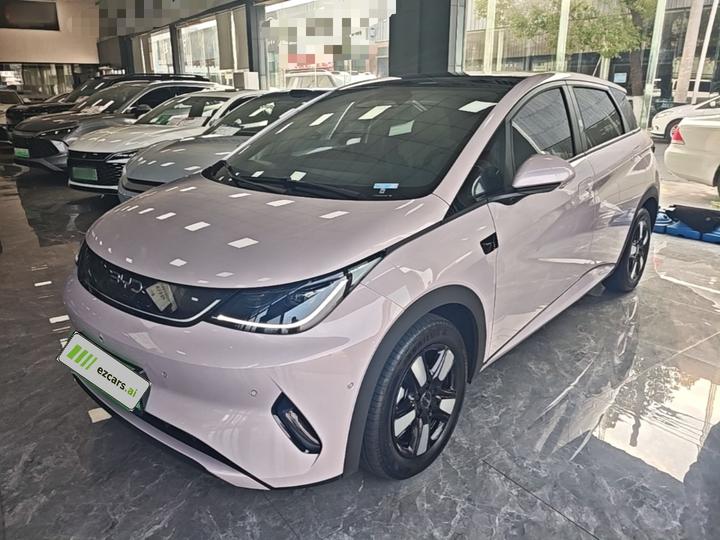 Dolphin 2025 ADAS 410km Fashion