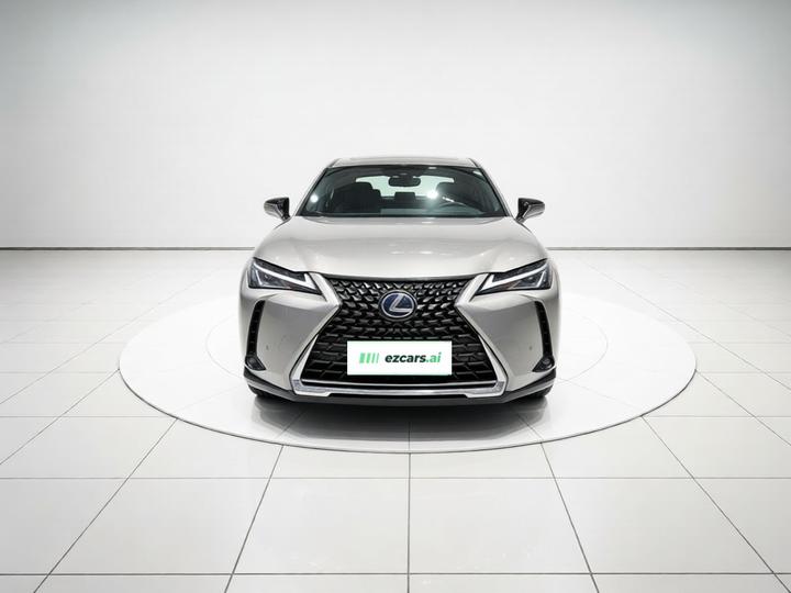 UX 2020 260h photo 2