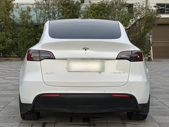 Model Y 2021 Standard Range RWD photo 7