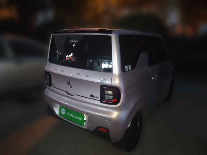 2023 Panda mini 200km Endurance Bear photo 4