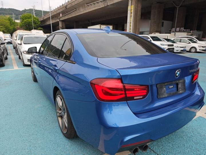 3 Series 2019 320Li M Sport photo 4