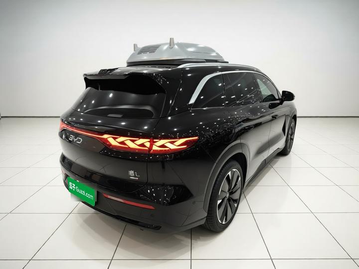 Tang L 2025 DM 175KM photo 6