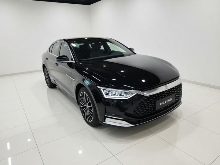 Han 2020 DM AWD Performance Premium photo 3