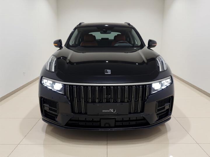 09 EM-P 2021 2.0T PHEV Halo 7-Seater photo 2