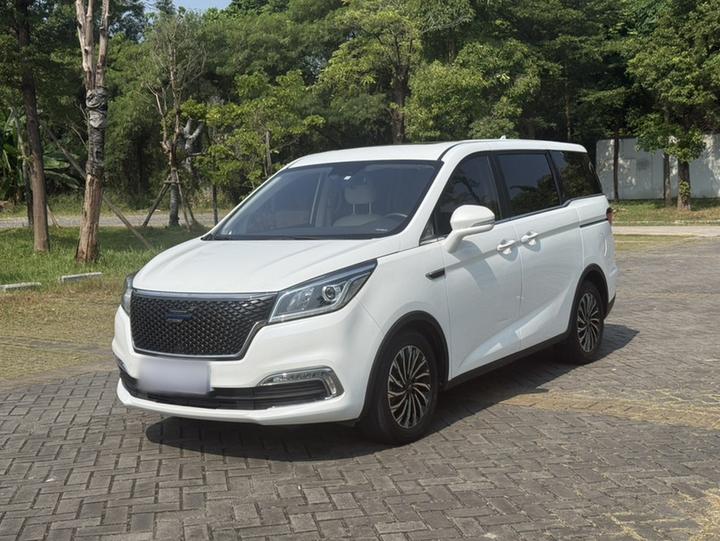 2019 1.5T AT Smart China VI