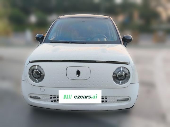 2021 351km Standard photo 2