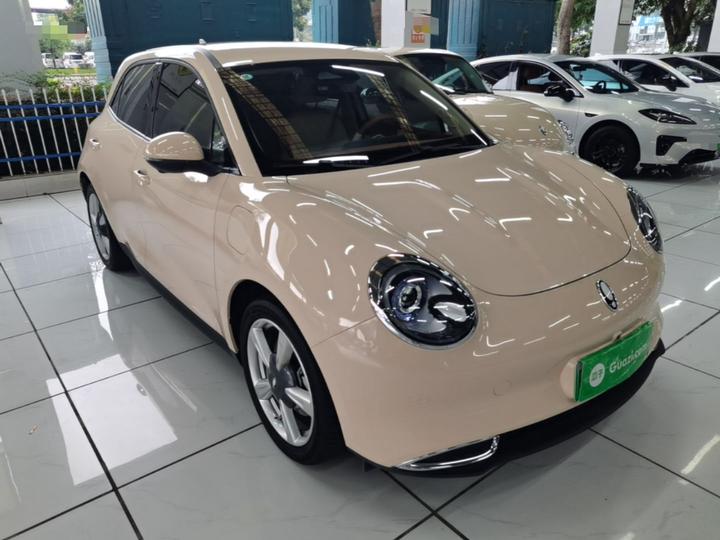 Good Cat 2023 401km Standard Range Luxury LFP photo 3