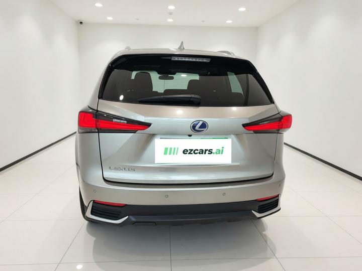 NX 2020 300h FWD China VI photo 5
