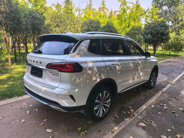 RX5 MAX 2019 300TGI AT 4G Luxury photo 3