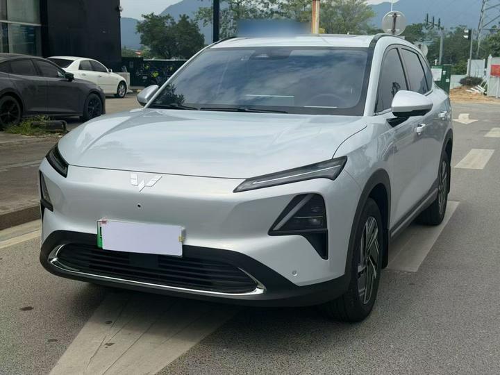 Wuling S 2024 130km Flagship