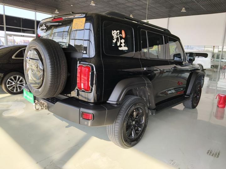 300 2023 Off-road 2.0T Conqueror photo 4