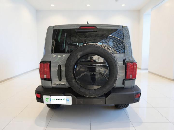 300 2021 Off-road 2.0T photo 5