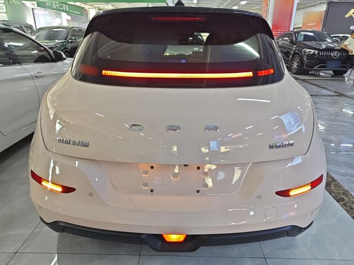 Good Cat 2021 400km Standard Range LFP photo 3