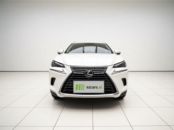 NX 2020 200 FWD China VI photo 2