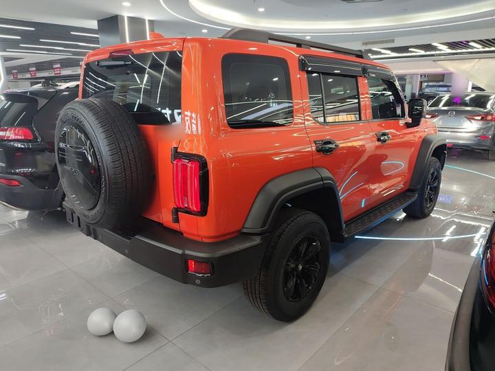 300 2021 Off-road 2.0T Conqueror photo 4