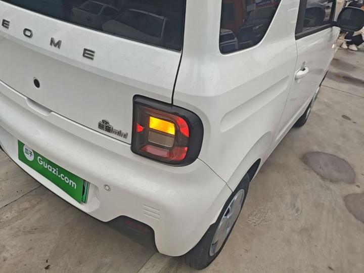 2023 Panda mini 200km Endurance Bear photo 7