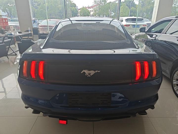 Mustang Parallel Import photo 3
