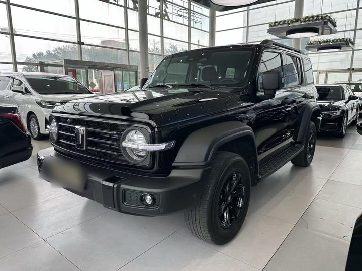 300 2025 2.0T Petrol Conqueror