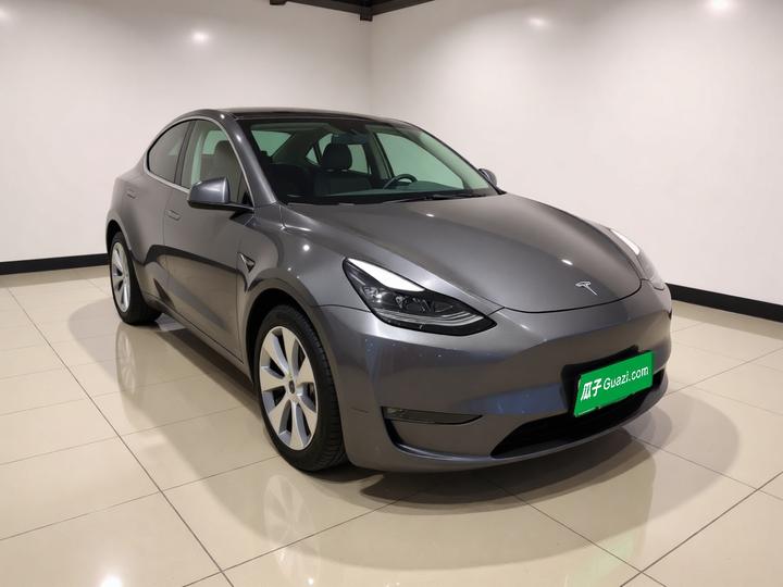 Model Y 2021 Standard Range RWD photo 3