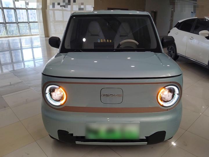 2024 Panda mini 200km Endurance Bear photo 2