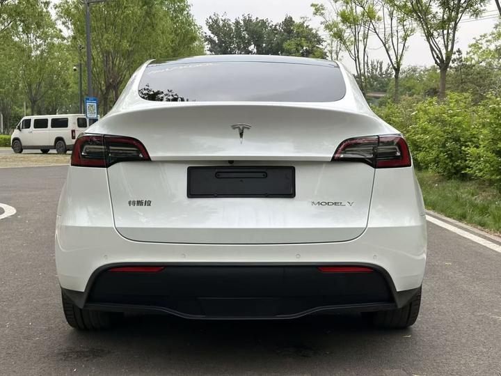 Model Y 2021 Long Range AWD photo 3