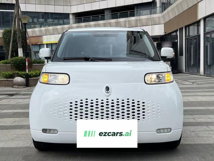 2022 Upgraded 305km Luxury NCM photo 2