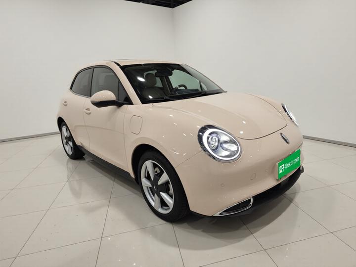 Good Cat 2022 400km Standard Range LFP photo 3