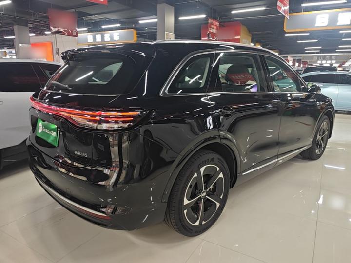 HIMA H5 2025 EV Pro photo 6