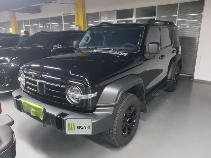 300 2021 Off-road 2.0T