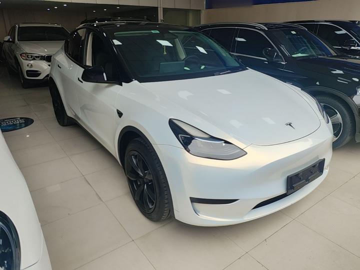Model Y 2024 RWD photo 3