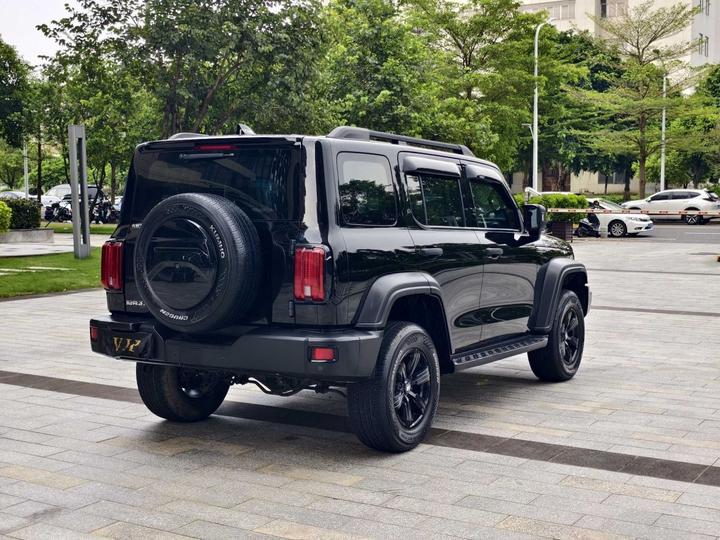 300 2021 Off-road 2.0T photo 4