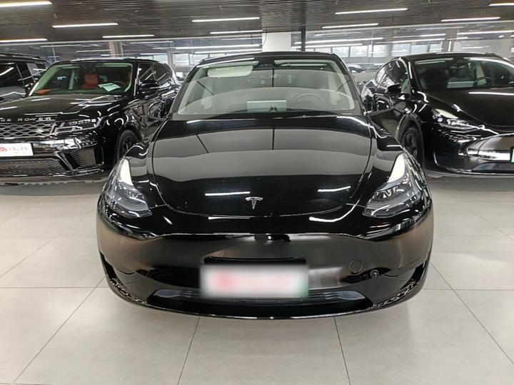Model Y 2024 RWD photo 2