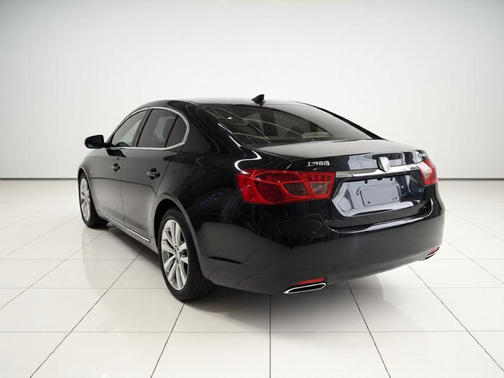 950 2015 2.0T Luxury Executive photo 4