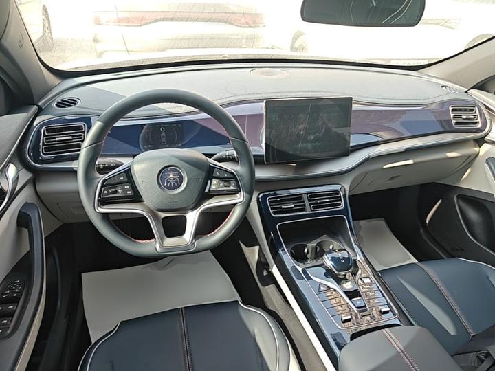 Qin PLUS 2021 EV 500KM Luxury photo 5