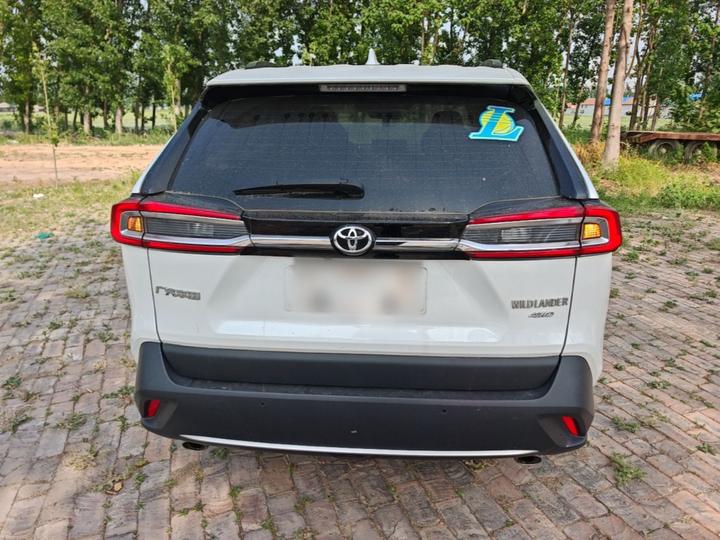 Wildlander 2020 2.0L CVT AWD Tech photo 3
